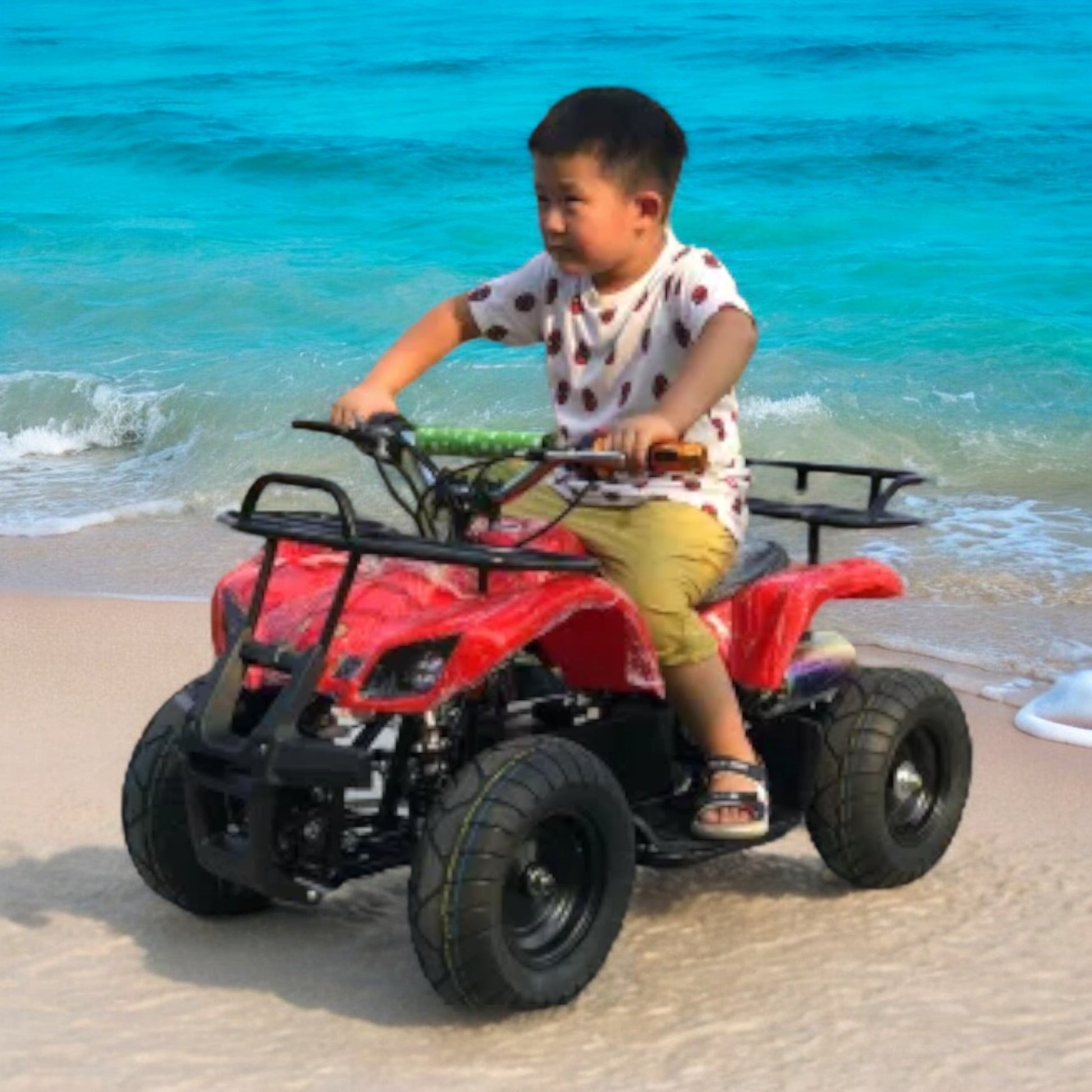 PATOYS | 36V/500W, Pocket Quad Electric Kids Automatic (F - N - R), Children's ATV Quad Bike - PATOYS