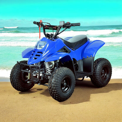 PATOYS | 80CC, 4 - stroke, single cylinder, air - cooling Petrol Junior ATV Bike - PATOYS