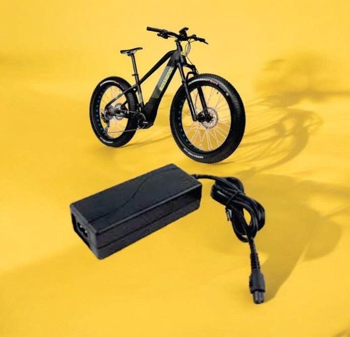 Assist electric bike charger sale