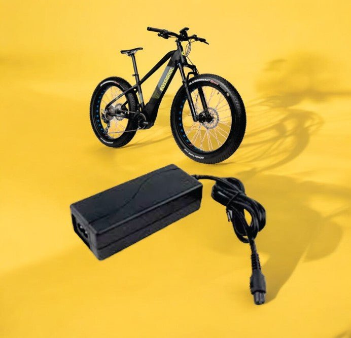 PATOYS | E - Bicycle Charger with Indication Input: 220v - 240V 50/60Hz Output: 42V/2amp - PATOYS